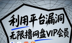 ƽ̨׶ˣߣVIPԱûײã׶ԭ+ʾ