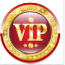 VIPԴ